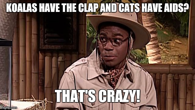 KOALAS HAVE THE CLAP AND CATS HAVE AIDS? THAT'S CRAZY! | made w/ Imgflip meme maker