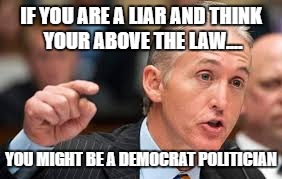 Trey Gowdy | IF YOU ARE A LIAR AND THINK YOUR ABOVE THE LAW.... YOU MIGHT BE A DEMOCRAT POLITICIAN | image tagged in trey gowdy | made w/ Imgflip meme maker