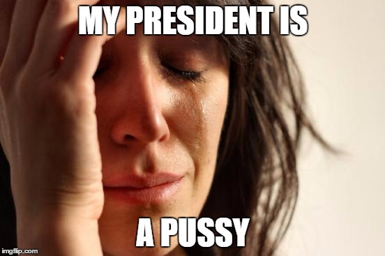 First World Problems Meme | MY PRESIDENT IS; A PUSSY | image tagged in memes,first world problems | made w/ Imgflip meme maker