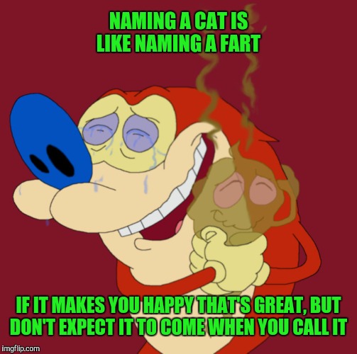 You named your fart?...You eediot! | NAMING A CAT IS LIKE NAMING A FART; IF IT MAKES YOU HAPPY THAT'S GREAT, BUT DON'T EXPECT IT TO COME WHEN YOU CALL IT | image tagged in stimpy,fart,cat | made w/ Imgflip meme maker