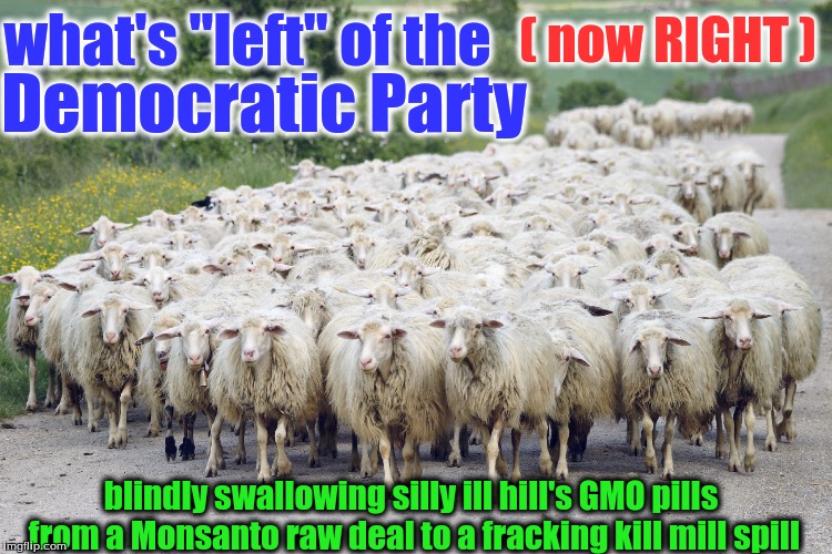 sheep | what's "left" of the; ( now RIGHT ); Democratic Party; blindly swallowing silly ill hill's GMO pills from a Monsanto raw deal to a fracking kill mill spill | image tagged in sheep | made w/ Imgflip meme maker