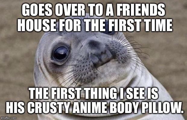 Awkward Moment Sealion | GOES OVER TO A FRIENDS HOUSE FOR THE FIRST TIME; THE FIRST THING I SEE IS HIS CRUSTY ANIME BODY PILLOW. | image tagged in memes,awkward moment sealion,AdviceAnimals | made w/ Imgflip meme maker