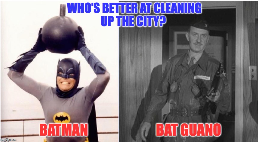 Crimefighters | WHO’S BETTER AT CLEANING UP THE CITY? BATMAN; BAT GUANO | image tagged in batman,dr strangelove | made w/ Imgflip meme maker