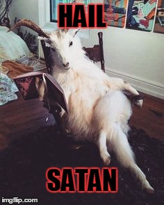 Hail Satan | HAIL; SATAN | image tagged in hail satan | made w/ Imgflip meme maker