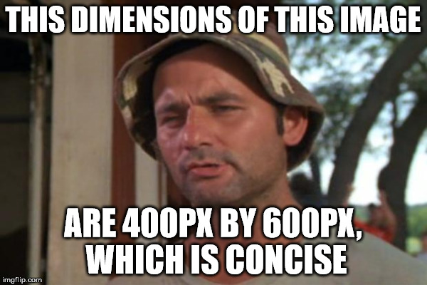 THIS DIMENSIONS OF THIS IMAGE ARE 400PX BY 600PX, WHICH IS CONCISE | made w/ Imgflip meme maker