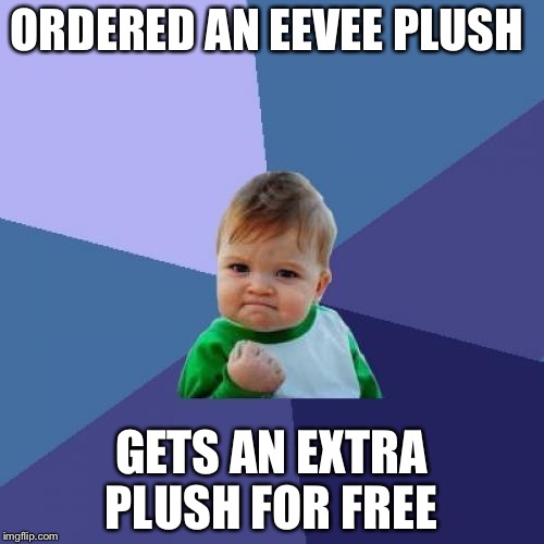 Success Kid | ORDERED AN EEVEE PLUSH; GETS AN EXTRA PLUSH FOR FREE | image tagged in memes,success kid | made w/ Imgflip meme maker