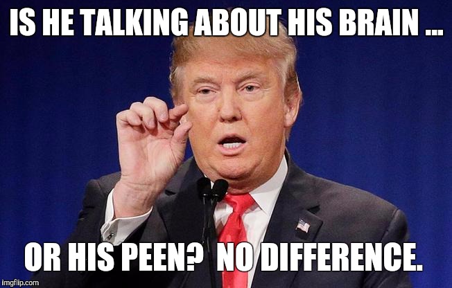 IS HE TALKING ABOUT HIS BRAIN ... OR HIS PEEN?  NO DIFFERENCE. | image tagged in donald trump,trump,nevertrump meme,nevertrump,dumptrump | made w/ Imgflip meme maker