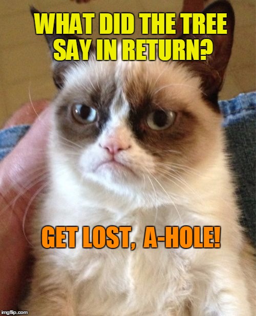 Grumpy Cat Meme | WHAT DID THE TREE SAY IN RETURN? GET LOST,  A-HOLE! | image tagged in memes,grumpy cat | made w/ Imgflip meme maker