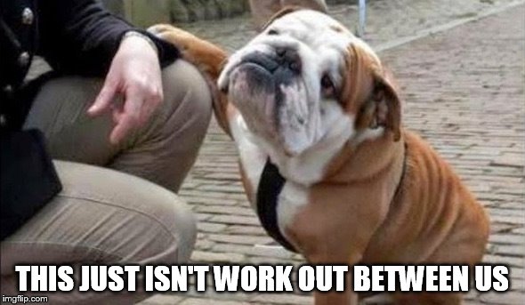 There There Dog | THIS JUST ISN'T WORK OUT BETWEEN US | image tagged in there there dog | made w/ Imgflip meme maker