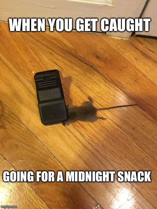 WHEN YOU GET CAUGHT; GOING FOR A MIDNIGHT SNACK | image tagged in midnight snack | made w/ Imgflip meme maker