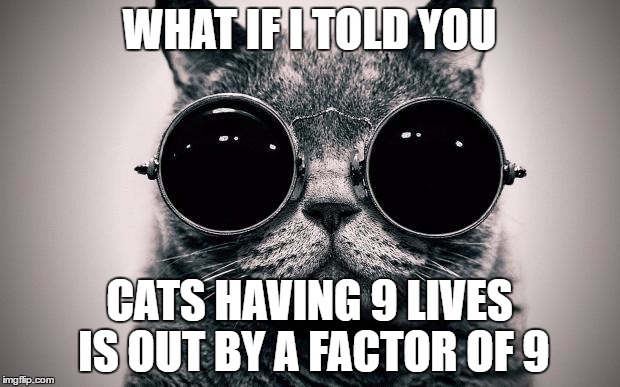 Morpheus Cat | WHAT IF I TOLD YOU; CATS HAVING 9 LIVES IS OUT BY A FACTOR OF 9 | image tagged in morpheus cat | made w/ Imgflip meme maker