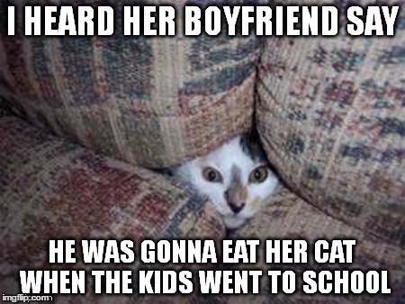 Eat the catttttt | . | image tagged in cats,memes | made w/ Imgflip meme maker