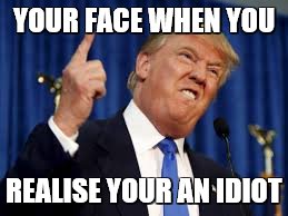 Donald Trump | YOUR FACE WHEN YOU; REALISE YOUR AN IDIOT | image tagged in donald trump | made w/ Imgflip meme maker