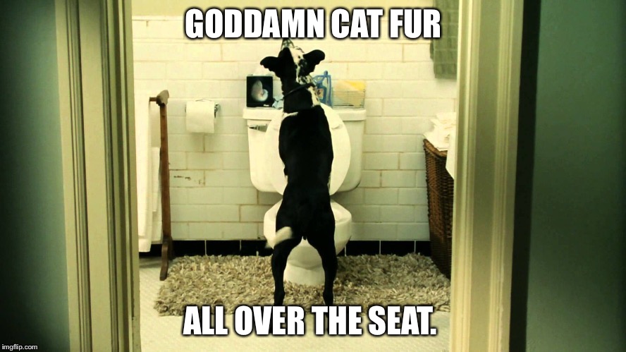 GO***MN CAT FUR ALL OVER THE SEAT. | made w/ Imgflip meme maker