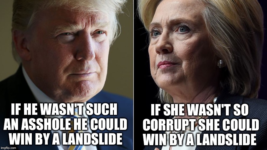 They deserve each other...but we don't! | IF HE WASN'T SUCH AN ASSHOLE HE COULD WIN BY A LANDSLIDE; IF SHE WASN'T SO CORRUPT SHE COULD WIN BY A LANDSLIDE | image tagged in trump hillary,memes,election 2016,trump,hillary | made w/ Imgflip meme maker