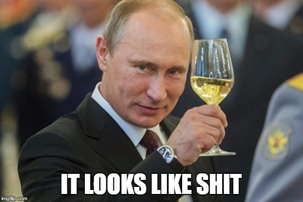 Putin Cheers | IT LOOKS LIKE SHIT | image tagged in putin cheers | made w/ Imgflip meme maker