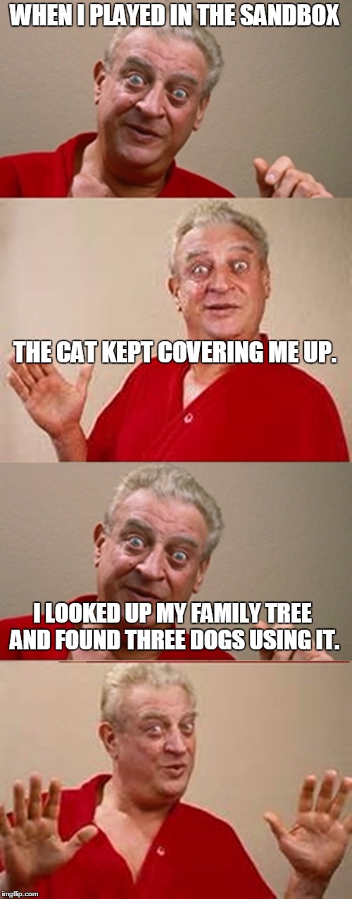 Rodney | WHEN I PLAYED IN THE SANDBOX; THE CAT KEPT COVERING ME UP. I LOOKED UP MY FAMILY TREE AND FOUND THREE DOGS USING IT. | image tagged in rodney | made w/ Imgflip meme maker