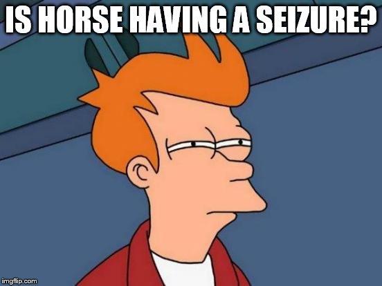 Futurama Fry Meme | IS HORSE HAVING A SEIZURE? | image tagged in memes,futurama fry | made w/ Imgflip meme maker