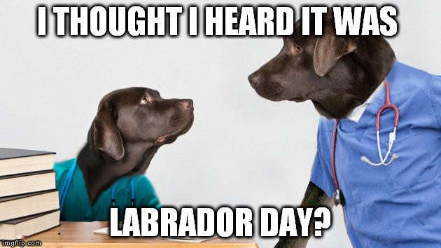 I THOUGHT I HEARD IT WAS LABRADOR DAY? | made w/ Imgflip meme maker