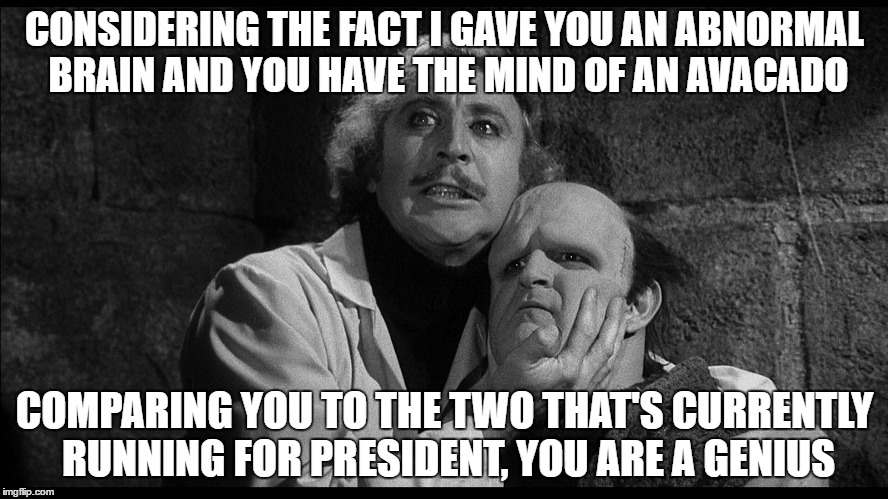 Young Frankenstein | CONSIDERING THE FACT I GAVE YOU AN ABNORMAL BRAIN AND YOU HAVE THE MIND OF AN AVACADO; COMPARING YOU TO THE TWO THAT'S CURRENTLY RUNNING FOR PRESIDENT, YOU ARE A GENIUS | image tagged in young frankenstein | made w/ Imgflip meme maker