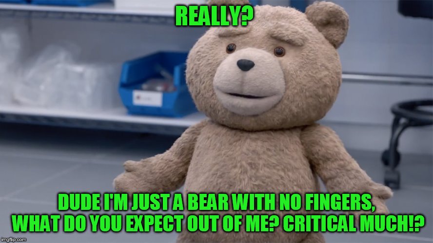 Ted Question | REALLY? DUDE I'M JUST A BEAR WITH NO FINGERS, WHAT DO YOU EXPECT OUT OF ME? CRITICAL MUCH!? | image tagged in ted question | made w/ Imgflip meme maker