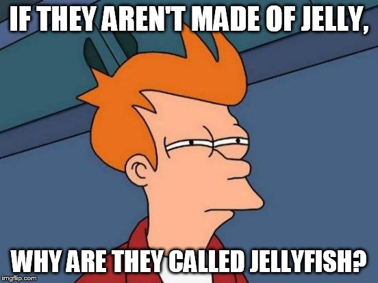 Futurama Fry Meme | IF THEY AREN'T MADE OF JELLY, WHY ARE THEY CALLED JELLYFISH? | image tagged in memes,futurama fry | made w/ Imgflip meme maker