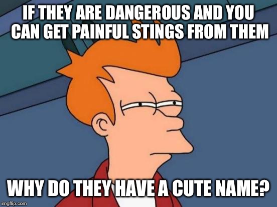 Futurama Fry Meme | IF THEY ARE DANGEROUS AND YOU CAN GET PAINFUL STINGS FROM THEM WHY DO THEY HAVE A CUTE NAME? | image tagged in memes,futurama fry | made w/ Imgflip meme maker