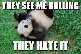panda rolling | THEY SEE ME ROLLING; THEY HATE IT | image tagged in panda | made w/ Imgflip meme maker
