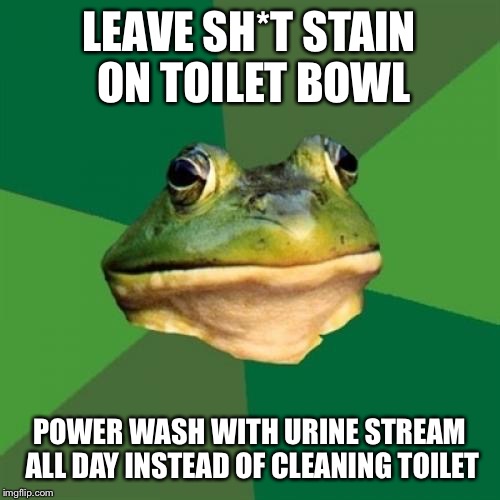 Foul Bachelor Frog Meme | LEAVE SH*T STAIN ON TOILET BOWL; POWER WASH WITH URINE STREAM ALL DAY INSTEAD OF CLEANING TOILET | image tagged in memes,foul bachelor frog | made w/ Imgflip meme maker