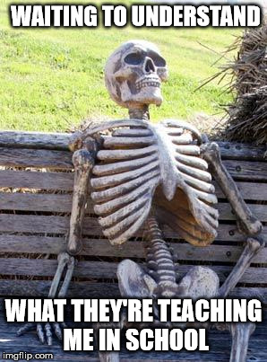 Waiting Skeleton | WAITING TO UNDERSTAND; WHAT THEY'RE TEACHING ME IN SCHOOL | image tagged in memes,waiting skeleton | made w/ Imgflip meme maker