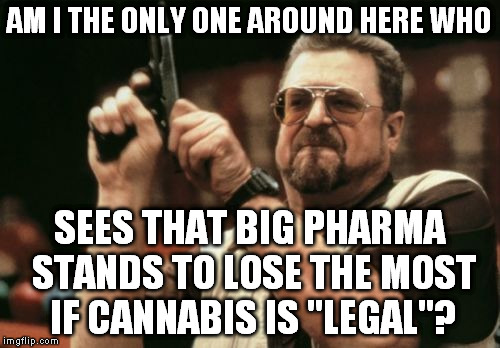 Am I The Only One Around Here Meme | AM I THE ONLY ONE AROUND HERE WHO SEES THAT BIG PHARMA STANDS TO LOSE THE MOST IF CANNABIS IS "LEGAL"? | image tagged in memes,am i the only one around here | made w/ Imgflip meme maker