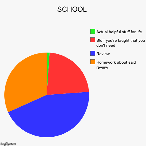 image tagged in funny,pie charts | made w/ Imgflip chart maker