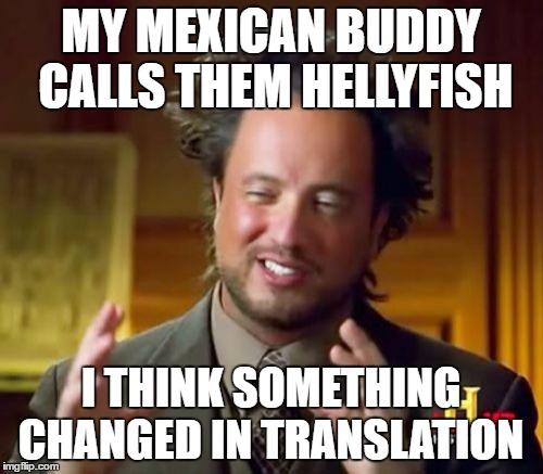 Ancient Aliens Meme | MY MEXICAN BUDDY CALLS THEM HELLYFISH I THINK SOMETHING CHANGED IN TRANSLATION | image tagged in memes,ancient aliens | made w/ Imgflip meme maker