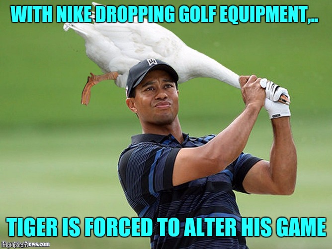 I never used Nike clubs anyways. | WITH NIKE DROPPING GOLF EQUIPMENT,.. TIGER IS FORCED TO ALTER HIS GAME | image tagged in funny memes,sewmyeyesshut,tiger woods,nike,no mo nike golf | made w/ Imgflip meme maker