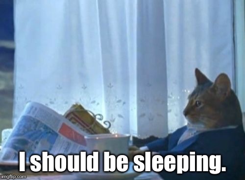 Me,at 1:30 AM checking Imgflip | I should be sleeping. | image tagged in memes,i should buy a boat cat | made w/ Imgflip meme maker