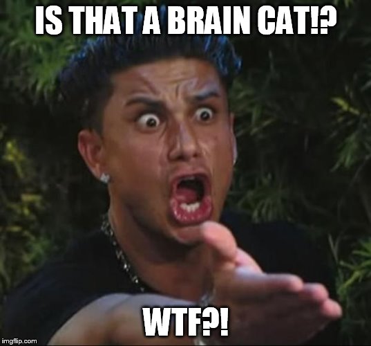 Pauly | IS THAT A BRAIN CAT!? WTF?! | image tagged in pauly | made w/ Imgflip meme maker