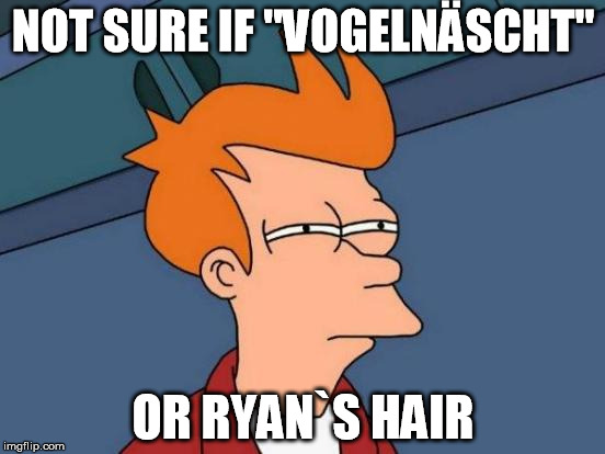Futurama Fry | NOT SURE IF "VOGELNÄSCHT"; OR RYAN`S HAIR | image tagged in memes,futurama fry | made w/ Imgflip meme maker