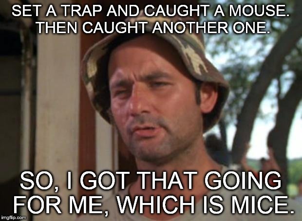 So I Got That Goin For Me Which Is Nice Meme | SET A TRAP AND CAUGHT A MOUSE. THEN CAUGHT ANOTHER ONE. SO, I GOT THAT GOING FOR ME, WHICH IS MICE. | image tagged in memes,so i got that goin for me which is nice | made w/ Imgflip meme maker