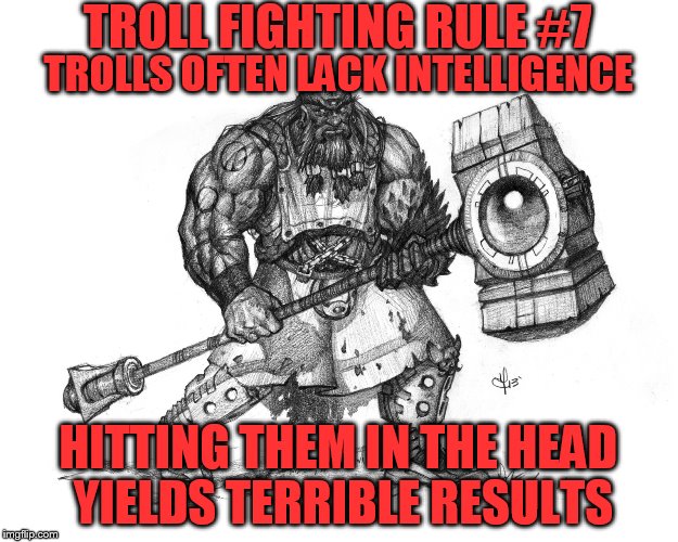 Troll Fighting Rule #7 | TROLL FIGHTING RULE #7; TROLLS OFTEN LACK INTELLIGENCE; HITTING THEM IN THE HEAD YIELDS TERRIBLE RESULTS | image tagged in troll smasher | made w/ Imgflip meme maker