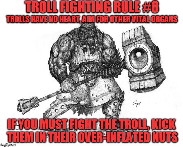 Troll Fighting Rule #8 | TROLL FIGHTING RULE #8; TROLLS HAVE NO HEART, AIM FOR OTHER VITAL ORGANS; IF YOU MUST FIGHT THE TROLL, KICK THEM IN THEIR OVER-INFLATED NUTS | image tagged in troll smasher | made w/ Imgflip meme maker