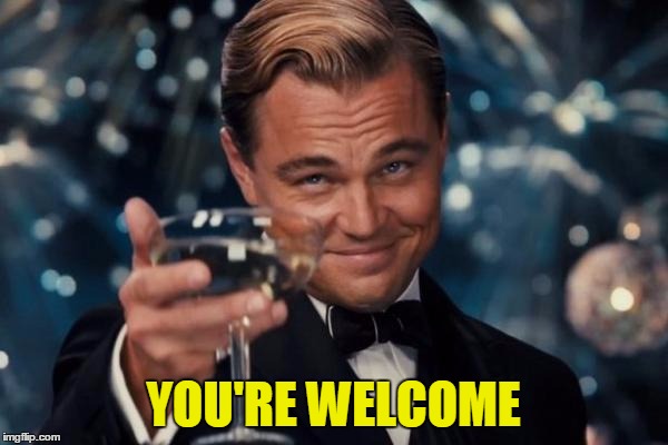 Leonardo Dicaprio Cheers Meme | YOU'RE WELCOME | image tagged in memes,leonardo dicaprio cheers | made w/ Imgflip meme maker