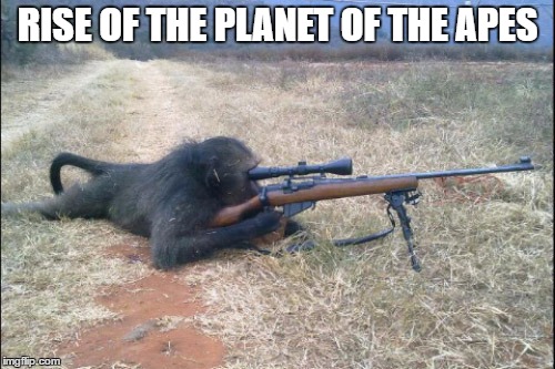 RISE OF THE PLANET OF THE APES | image tagged in apes,guns,animals,funny animals | made w/ Imgflip meme maker