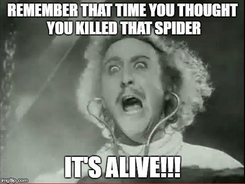 Young Frankenstein | REMEMBER THAT TIME YOU THOUGHT YOU KILLED THAT SPIDER; IT'S ALIVE!!! | image tagged in young frankenstein | made w/ Imgflip meme maker