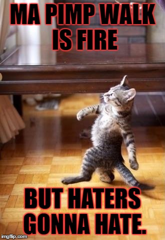 Cool Cat Stroll Meme | MA PIMP WALK IS FIRE; BUT HATERS GONNA HATE. | image tagged in memes,cool cat stroll | made w/ Imgflip meme maker