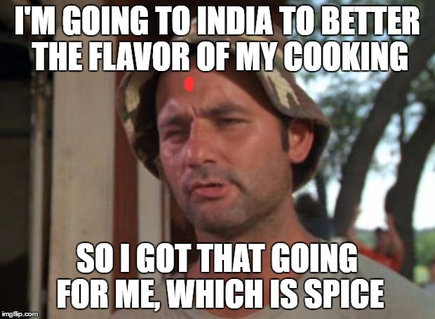 So I Got That Goin For Me Which Is Nice | I'M GOING TO INDIA TO BETTER THE FLAVOR OF MY COOKING; SO I GOT THAT GOING FOR ME, WHICH IS SPICE | image tagged in memes,so i got that goin for me which is nice | made w/ Imgflip meme maker