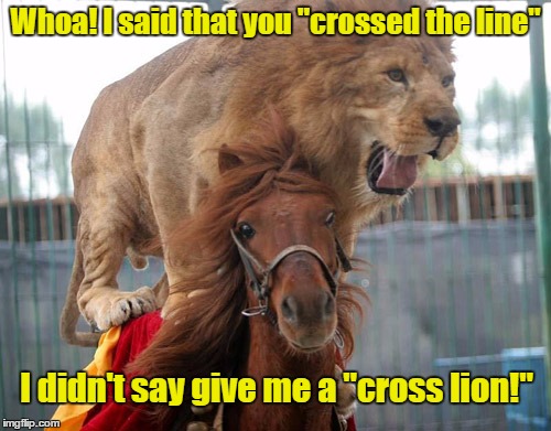 That's Not What I Said! | Whoa! I said that you "crossed the line"; I didn't say give me a "cross lion!" | image tagged in horse,lion,memes | made w/ Imgflip meme maker