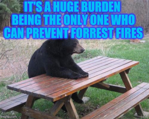 Bad Luck Bear Meme | IT'S A HUGE BURDEN BEING THE ONLY ONE WHO CAN PREVENT FORREST FIRES | image tagged in memes,bad luck bear | made w/ Imgflip meme maker