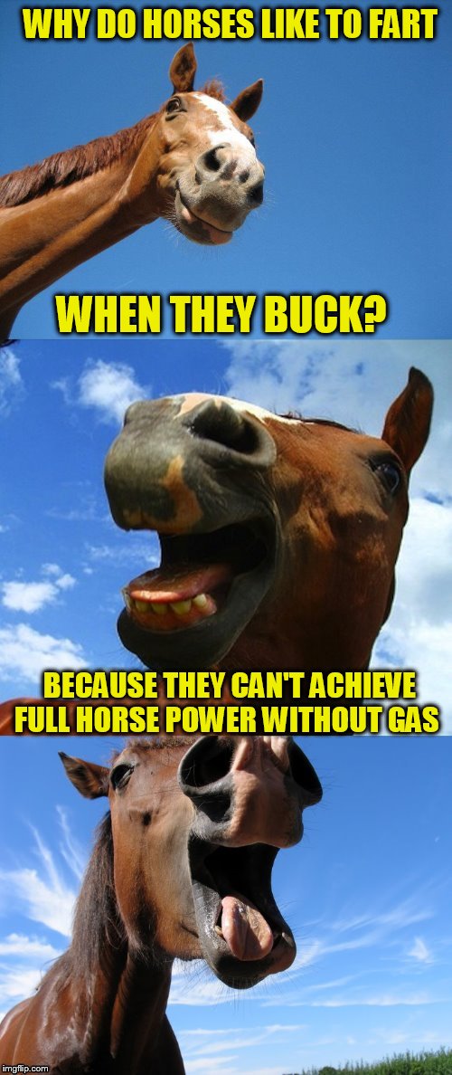 Just Horsing Around | WHY DO HORSES LIKE TO FART; WHEN THEY BUCK? BECAUSE THEY CAN'T ACHIEVE FULL HORSE POWER WITHOUT GAS | image tagged in just horsing around,farts,funny memes,horses,laughs,jokes | made w/ Imgflip meme maker