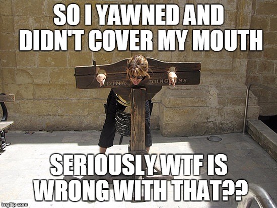 Woman In Stockade | SO I YAWNED AND DIDN'T COVER MY MOUTH; SERIOUSLY WTF IS WRONG WITH THAT?? | image tagged in woman in stockade | made w/ Imgflip meme maker