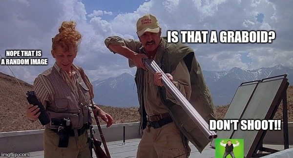 False image | IS THAT A GRABOID? NOPE THAT IS A RANDOM IMAGE; DON'T SHOOT!! | image tagged in tremors | made w/ Imgflip meme maker